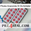 Pilules Anaconda Xl Où Acheter 19